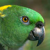 Дудниченко Т