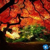 А_Мартышенко