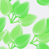 З_Запаренко