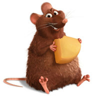 Зеленецкая Т