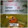 М_Светова