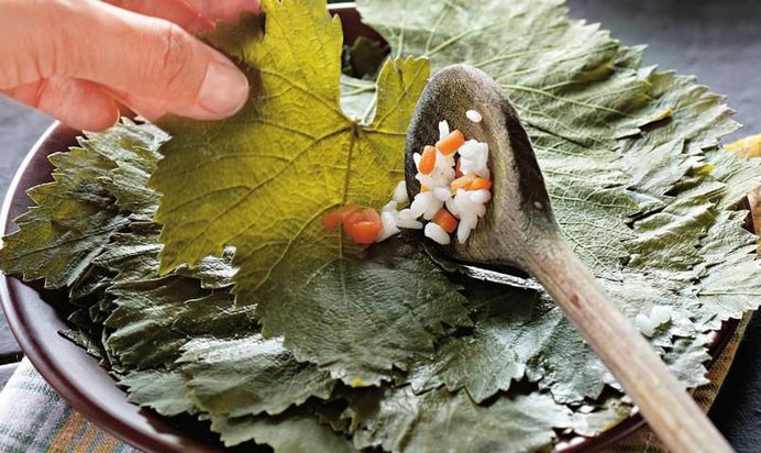 Виноградные листья