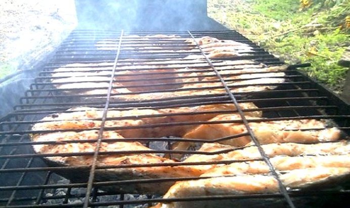 Шашлык из рыбы на костре