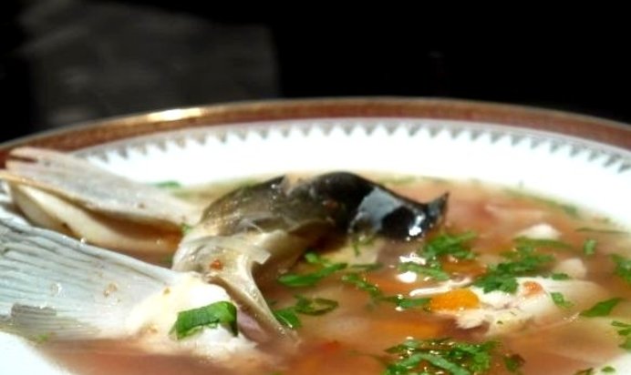 Уха из головы сазана