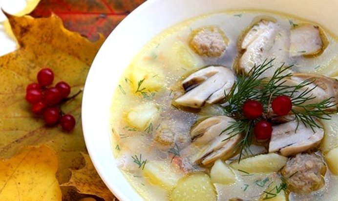 Суп из белых грибов на мясном бульоне
