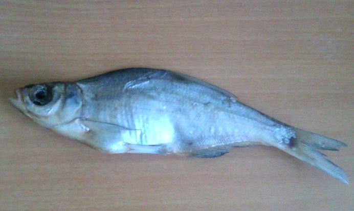 Сушёная вобла