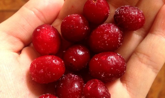 Творожная запеканка с клюквой