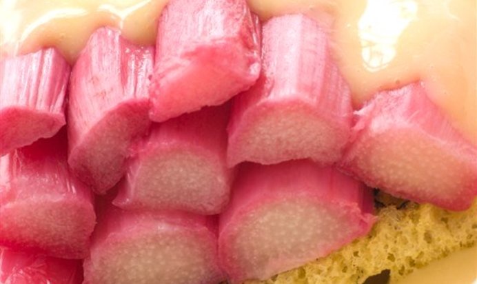 Тосты с ревенем