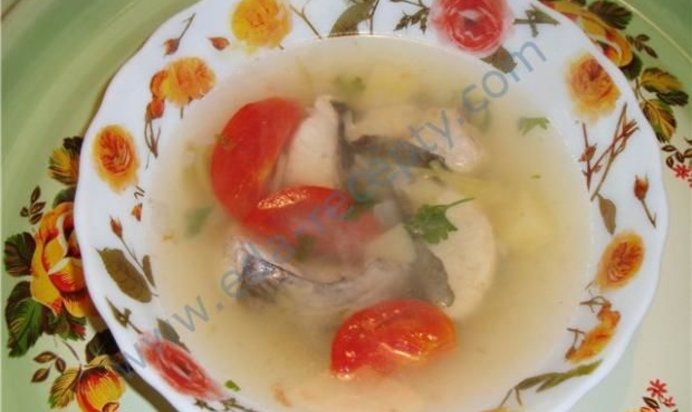 Уха из сома