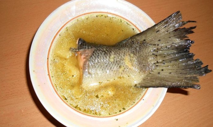 Уха из семги с пшеном