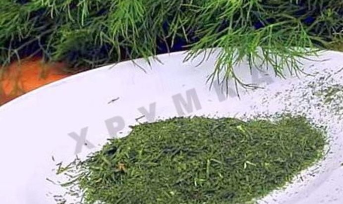 Как сушить укроп на зиму в духовке