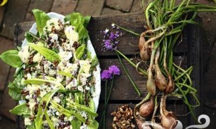 Салат с зеленью, сыром и луком под сливочным соусом