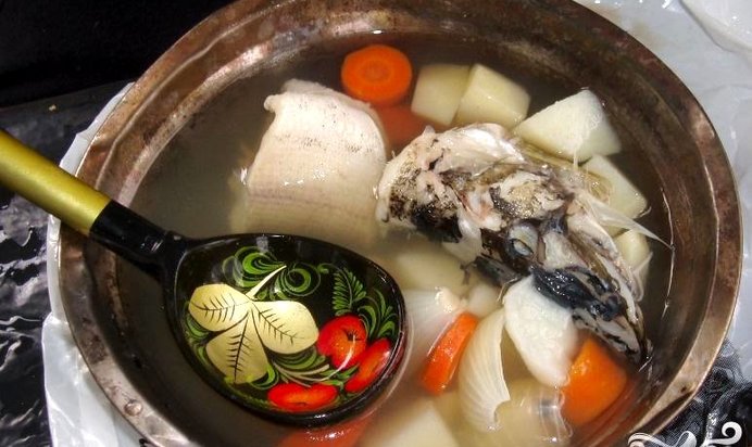 Двойная уха