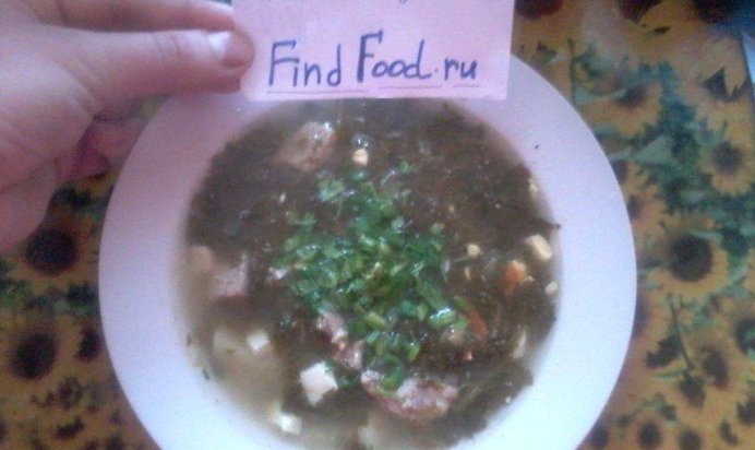 Зеленый борщ из консервированого щавля