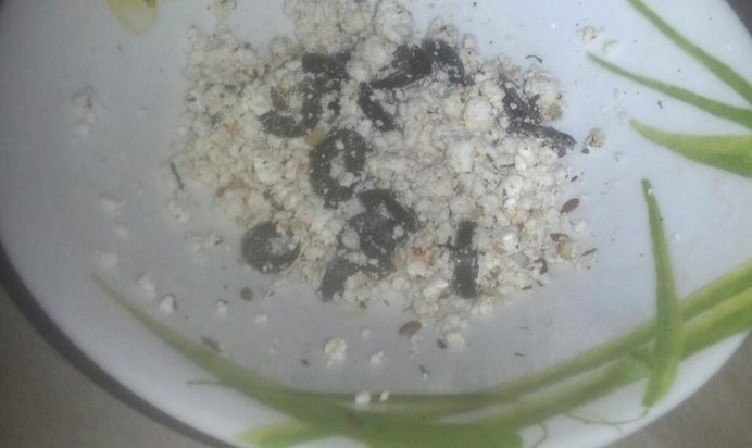 Салат из творога с маслинами и мятой