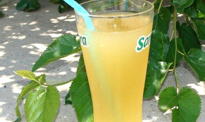 Квас из виноградных листьев