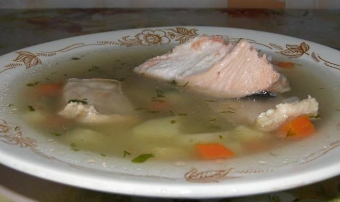 Уха из горбуши