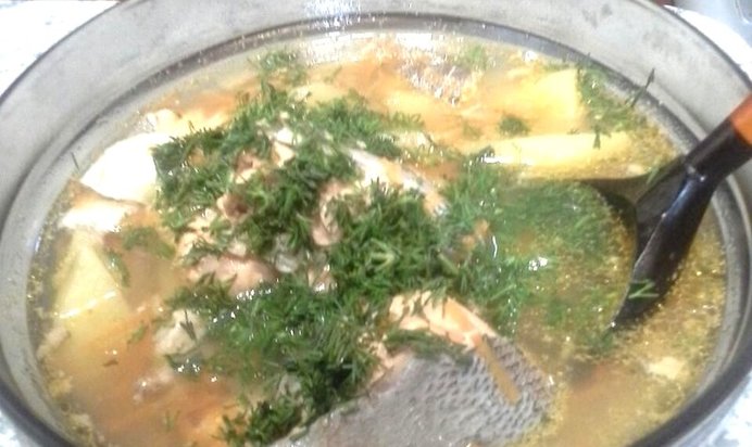 Домашняя уха