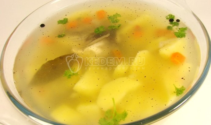 Уха из терпуга