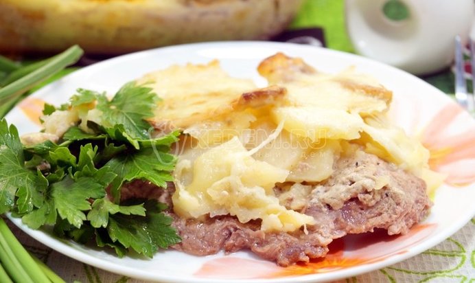 Уха «Altnessebar»