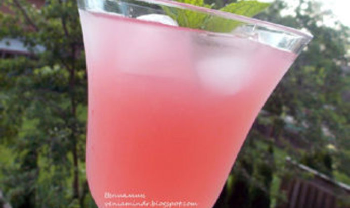 Ревеневый лимонад с мятой и апельсиновой водой