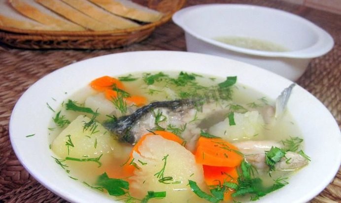 Уха из речной рыбы