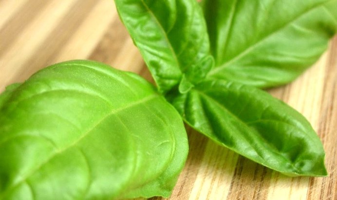 Свежий базиликовый лимонад