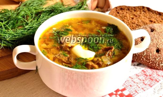 Щи с курицей и лесными грибами