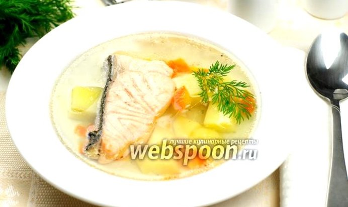 Уха из сёмги