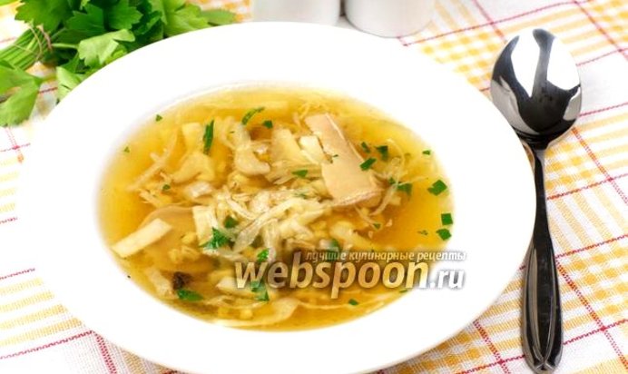 Щи с грибами и перловой крупой