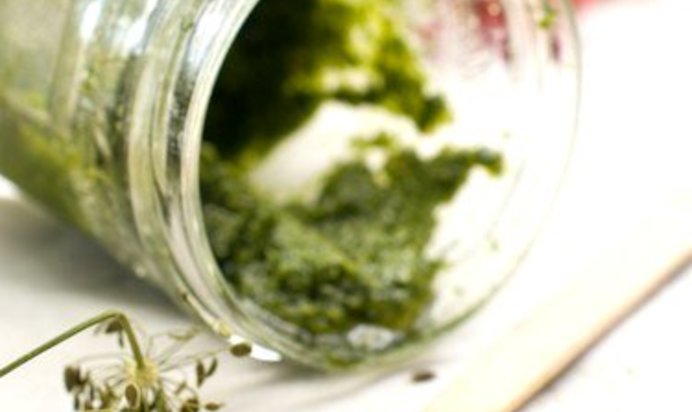 Песто из кинзы и перца халапеньо с грецкими орехами