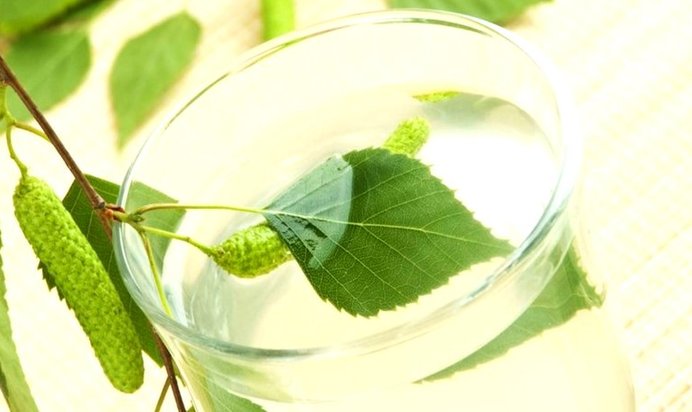 Вино из березового сока