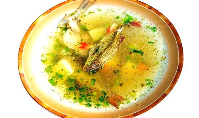 Уха из свежей речной рыбы