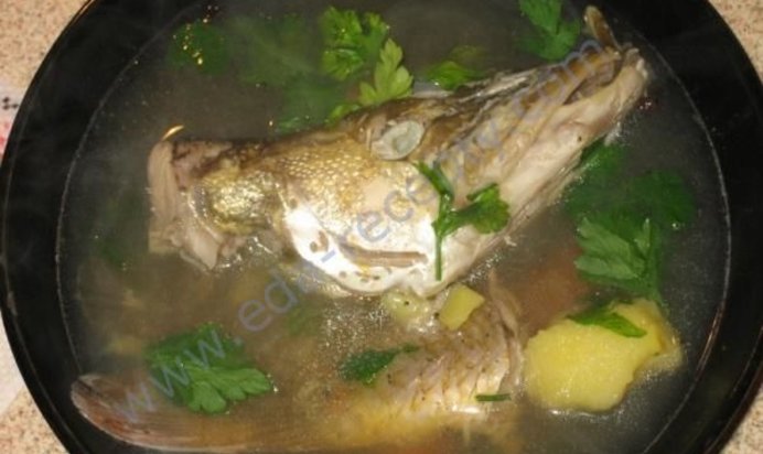 Уха из щуки