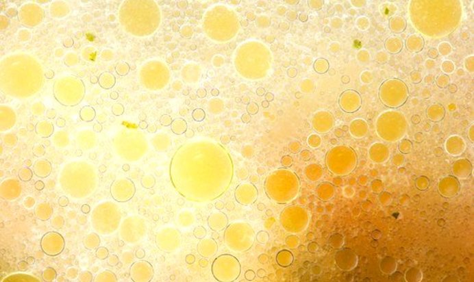 Мясной бульон