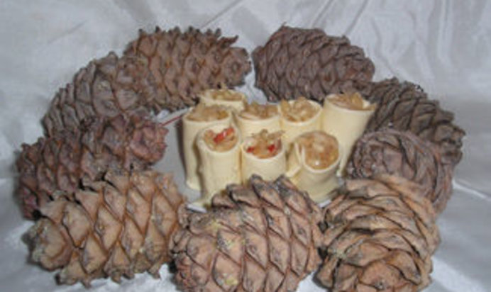 Роллы Таежные