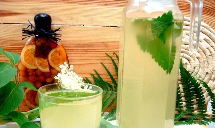 Квас из бузины