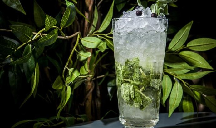 Лимонад Орегано Физз