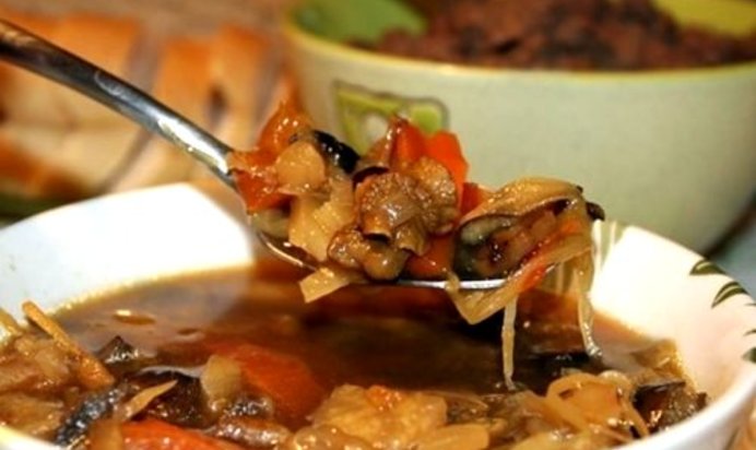 Солянка мясная с капустой