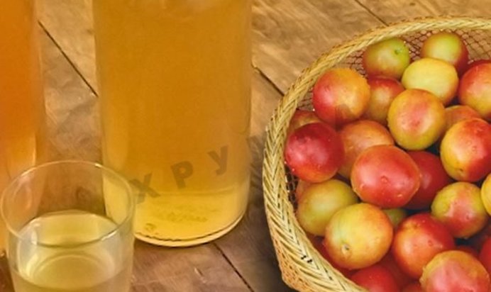 Домашнее вино из алычи