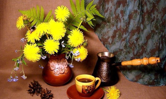 Кофе из корней одуванчика
