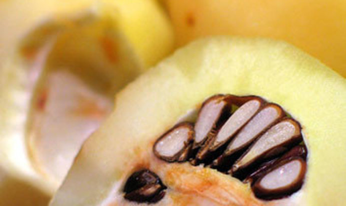 Омлет с айвой