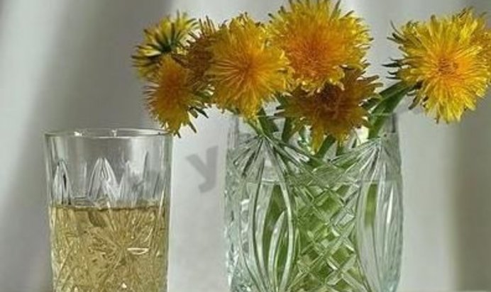 Вино из одуванчиков