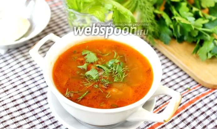 Щи с утятиной и квашеной капустой