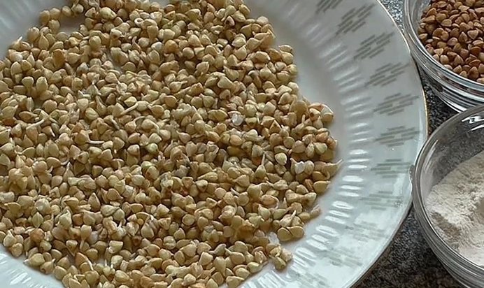 Пророщенная гречка