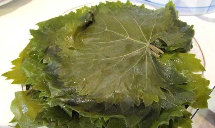 Консервированные листья винограда