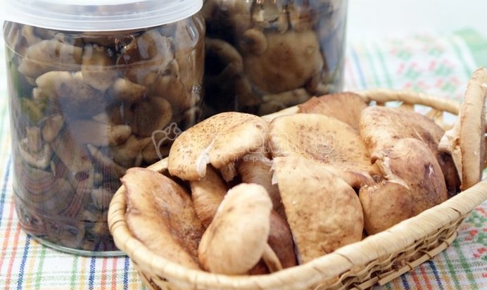 Волынский борщ