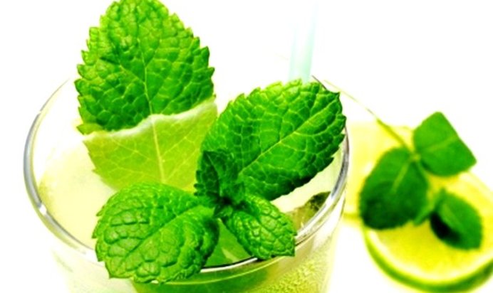 Алкогольный напиток в стиле Мохито