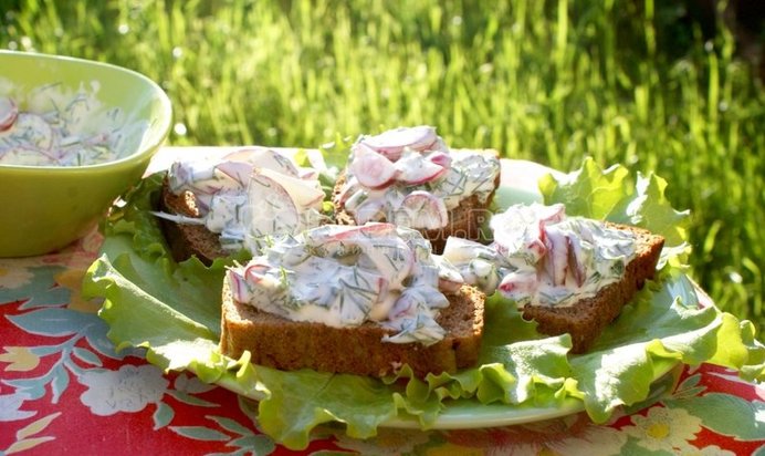 Бутерброды с зеленью и редисом