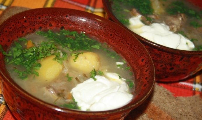 Щи с говядиной и квашеной капустой